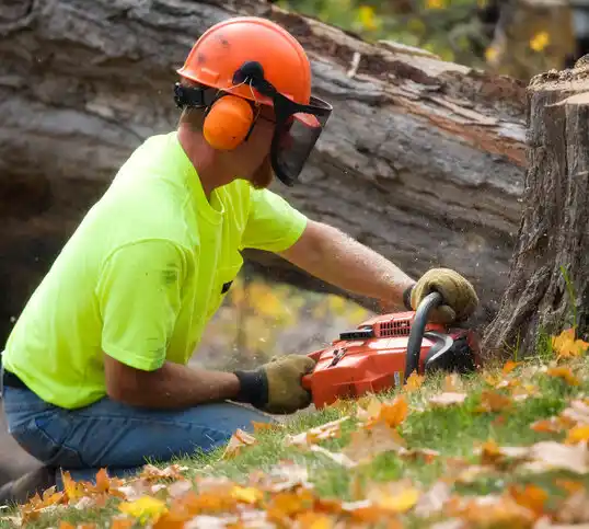 tree services Tiltonsville